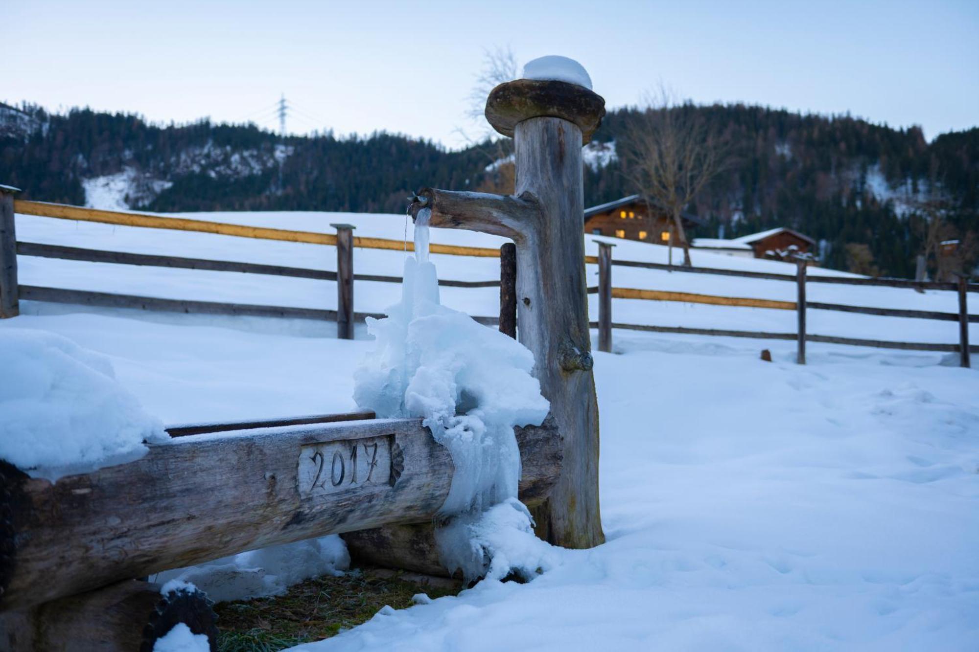Almfrieden Villa Werfen Exteriör bild